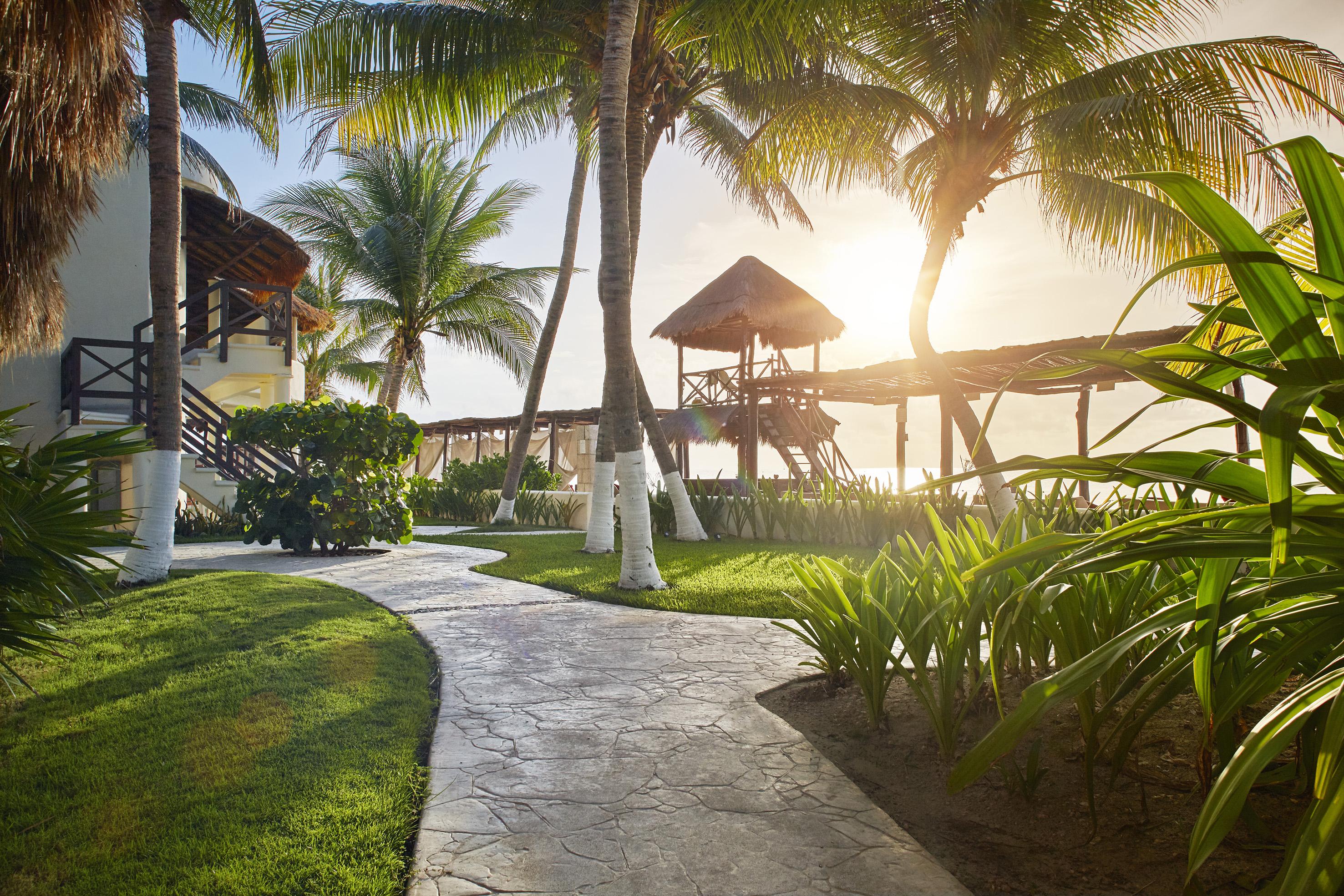 Desire Riviera Maya